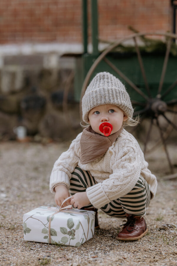 BIBS_AW21_Holiday_Campaign_39 BIBS cucle Candy Apple & Haze (6-18m) – 2kom - Image 2