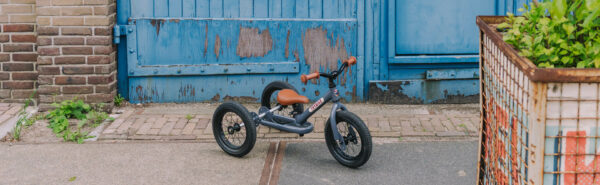 Trybike Tricikl i balans bicikl - Steel Grey - Image 7