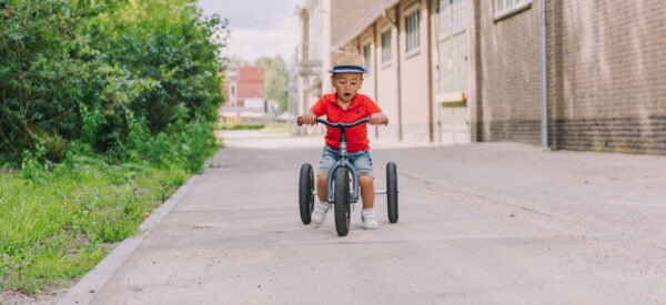 Trybike Tricikl i balans bicikl - Steel Grey - Image 3