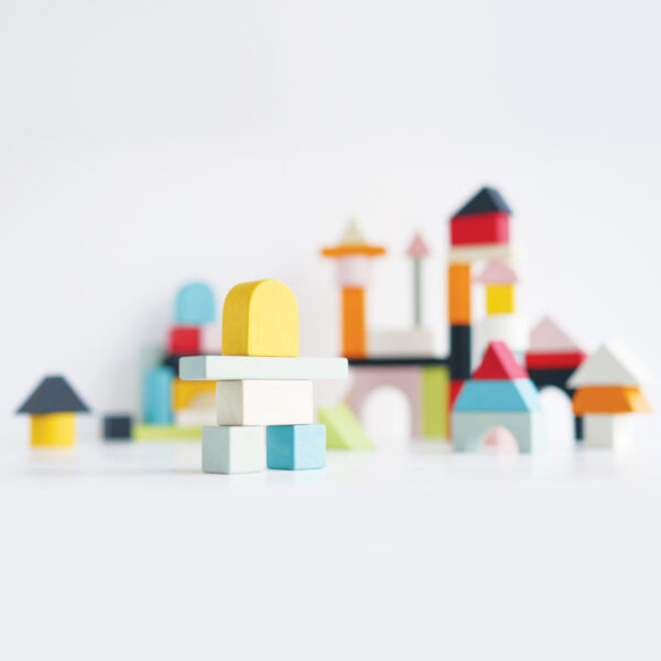 PL135-Building-Blocks-Cotton-Bag-Safe-Paints-Toy Le Toy Van drvene kocke za gradnju – 60 komada - Image 6