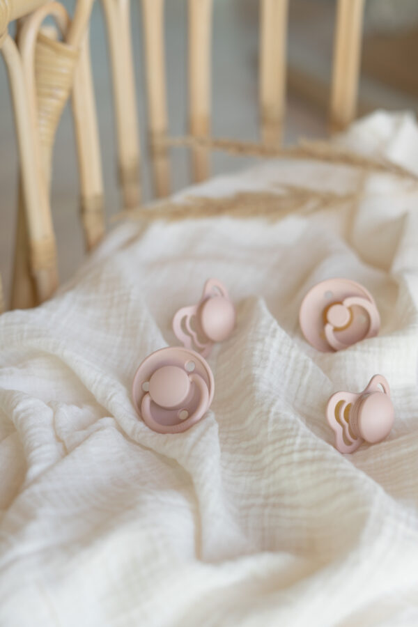 bibs-try-it-kolekcija-5 BIBS Try it set cucli - Blush (0-6m) – 4kom - Image 2