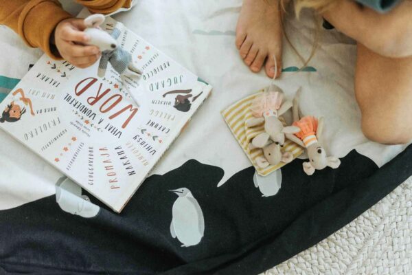 Worldmap17 Play&Go 2u1 Podloga za igru i vreća za igračke - Karta svijeta - Image 3