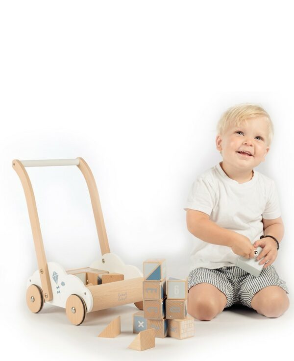 Label Label Drvena edukativna guralica sa kockicama - Blue - Image 3