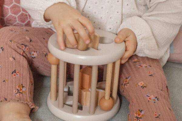 LLWT-37148 - Nougat Shape Sorting Wheel - 02 Label Label točak za sortiranje oblika - Nougat - Image 4