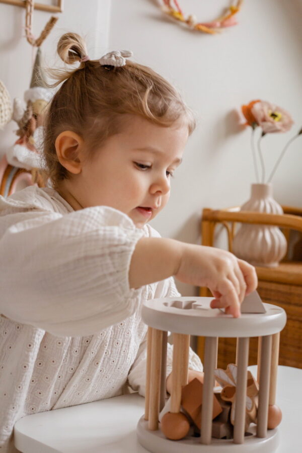 LLWT-37148 - Nougat Shape Sorting Wheel - 03 Label Label točak za sortiranje oblika - Nougat - Image 3