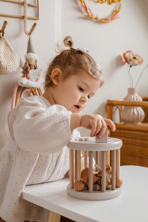 LLWT-37148 - Nougat Shape Sorting Wheel - 04 Label Label točak za sortiranje oblika - Nougat - Image 2