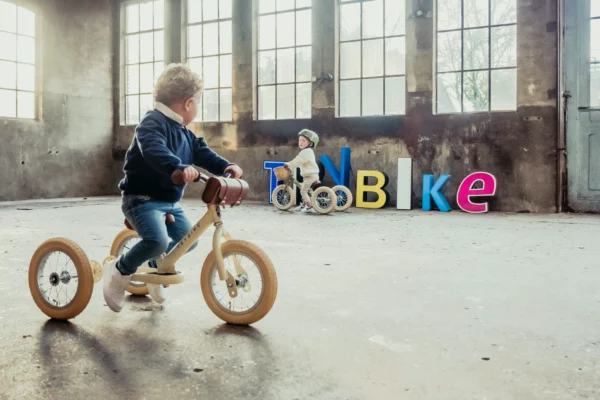 Trybike-Herfst2023-12-scaled Trybike Tricikl i balans bicikl - Steel Vintage Cream - Image 3