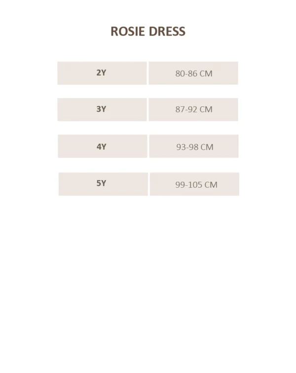 RosieDress_fddbefd0-75d8-4886-aa76-bb360e3e2a8b Mrs Ertha haljinica za princeze Rosie - Blush - Image 3
