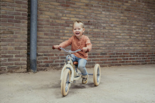 Trybike Tricikl i balans bicikl – Steel Vintage Green Matt - Image 19