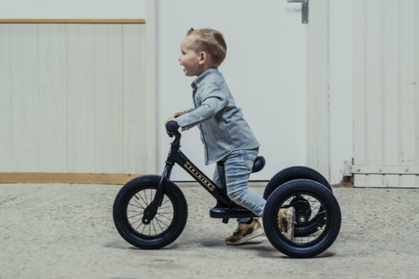 Trybike Tricikl i balans bicikl – Steel Grey Matt - Image 16