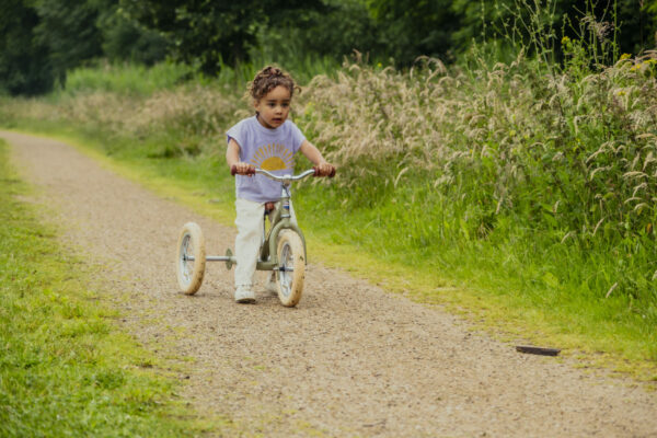Trybike Tricikl i balans bicikl – Steel Vintage Green Matt - Image 28