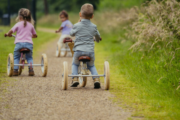 Trybike 2024 matt (195) Trybike Balans bicikl 2u1 – Steel Vintage Pink Matt - Image 12