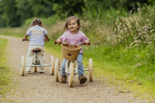 Trybike Tricikl i balans bicikl – Steel Grey Matt - Image 19