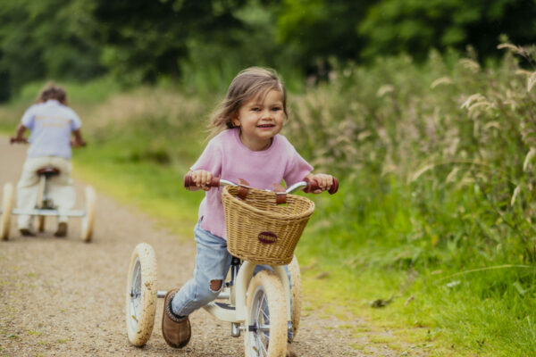 Trybike Tricikl i balans bicikl – Steel Vintage Green Matt - Image 21