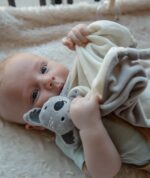 Tryco Mazilica Koala Kyle - Image 2