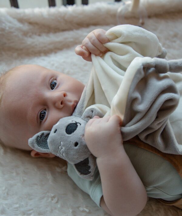 Tryco Mazilica Koala Kyle - Image 2